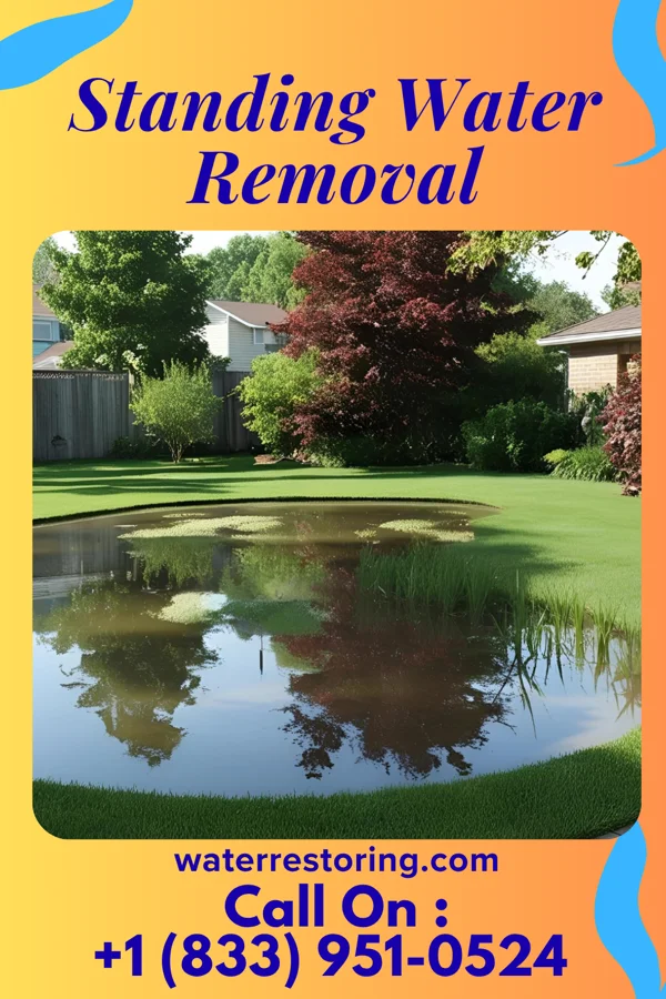 Standing Water Removal in Murray, NE